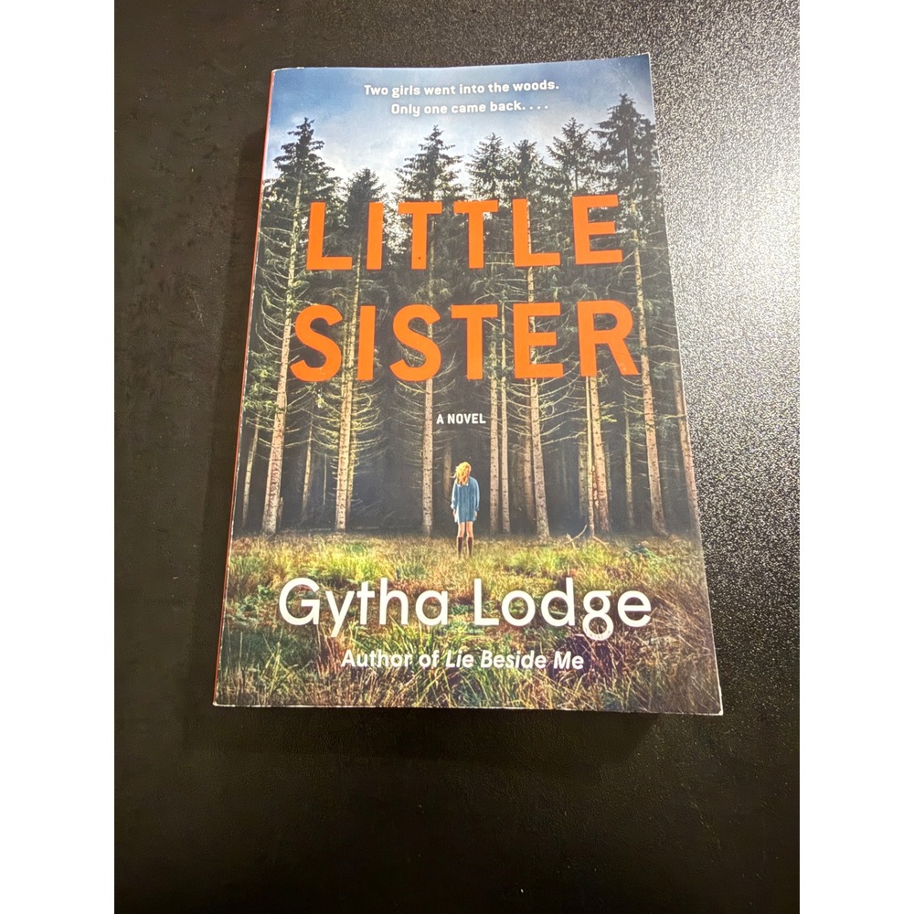 Little Sister by Gytha Lodge Paperback Novel Crime Thriller Mystery